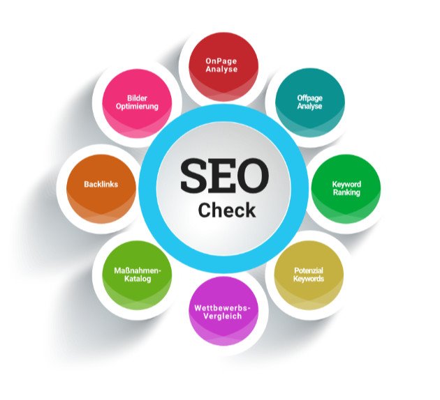 Darstellung SEO Check und SEO Analyse